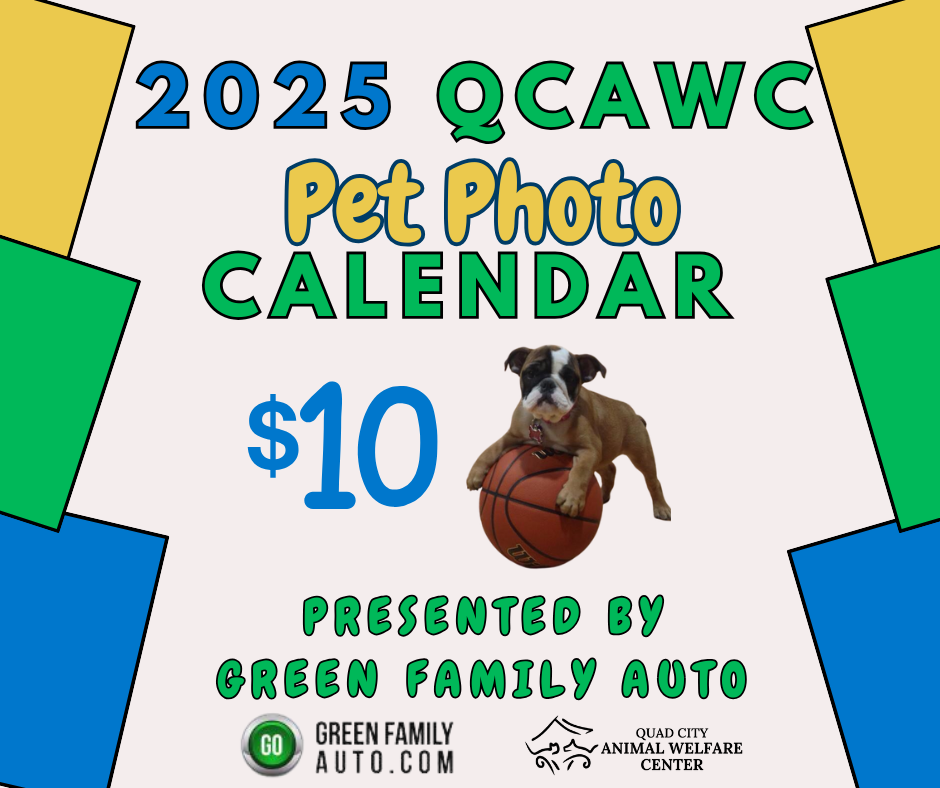 Pet photo calendar contest website